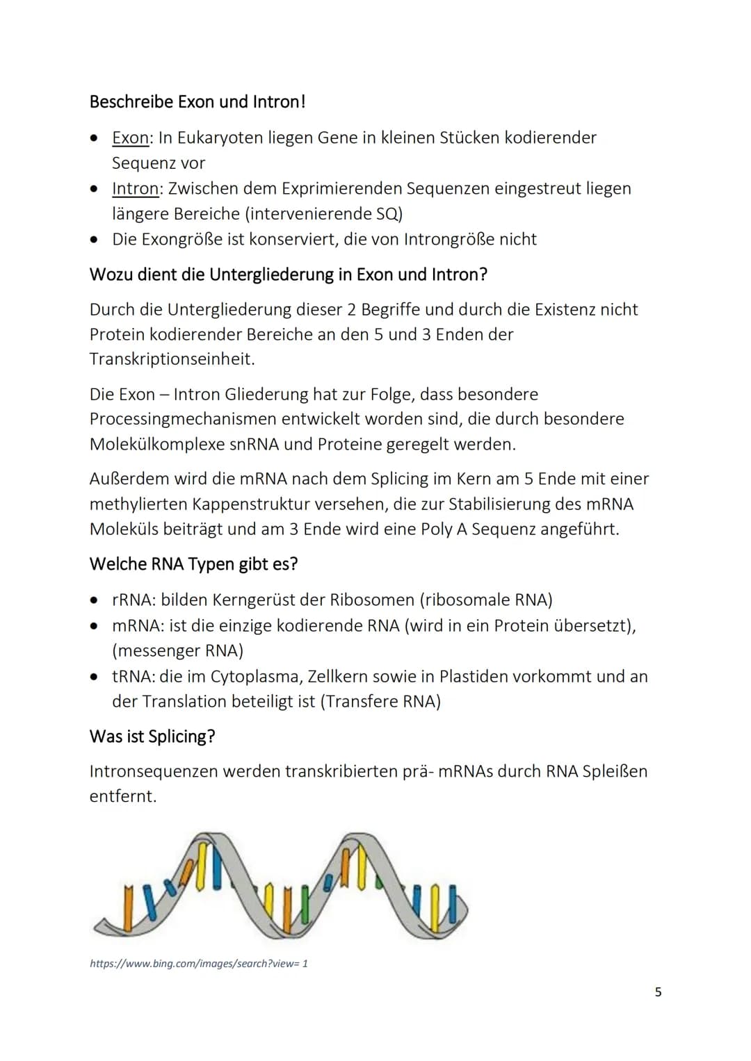 DNA (Desoxyribonukleinsäure)
Was ist die DNA?
• Langer sehr dünner Faden
• Befindet sich in jeder Zelle eines Lebewesens
• Oft liegt sie im 