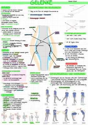 Know Lernzettel Klausur CE02a - Bewegungssystem thumbnail