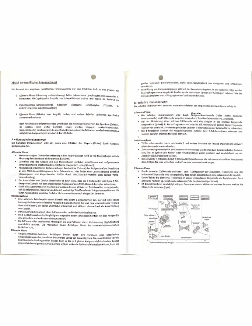  Immunisierung
Immunisierung
Der heute geläufige Begriff „Immunisierung" geht auf den englischen
Wissenschaftler E. Jenner zurück. Er beschä