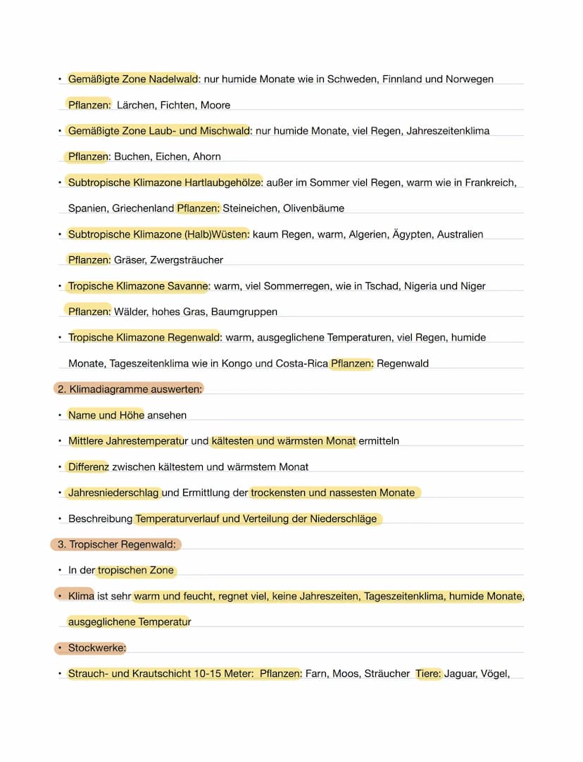 1. Klima und Vegetationszonen
Klima:
Geographie
Klima und Regenwald
• Durchschnittliches Witterungsmuster einer bestimmten Region über einen