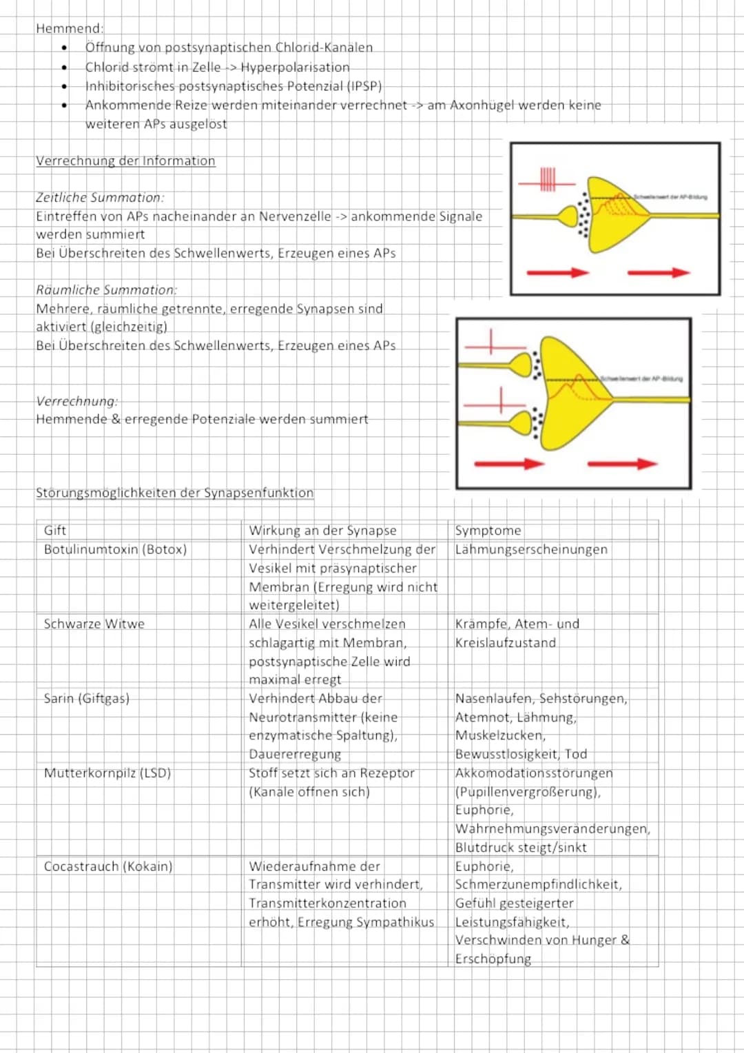 Reiz- Reaktions- Modell
Nervensystem - auf Reize reagieren
Vom Reiz zur Reaktion
➜Sinneszellen als Signalwandler
Sinnesorgan
Auge
Ohr
Nase
Z