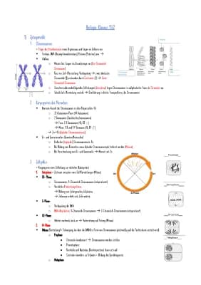 Know Zytogenetik, Klassische Genetik, Humangenetik & Gentechnik thumbnail