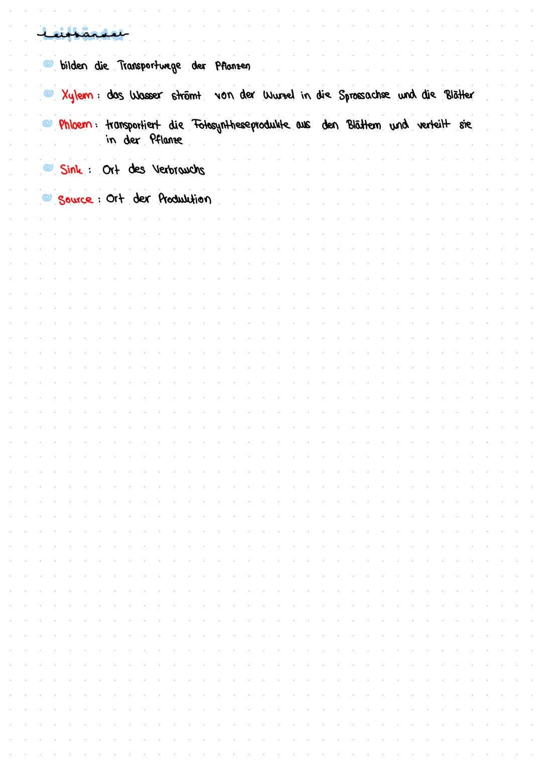2 obere Epidermis

3 Palisadengewebe

5 Schwammgewebe

Kutikula

.....
000

Leitbündel
1
4

untere Epidermis

Schließzellen
(Stomata)
7 Quer
