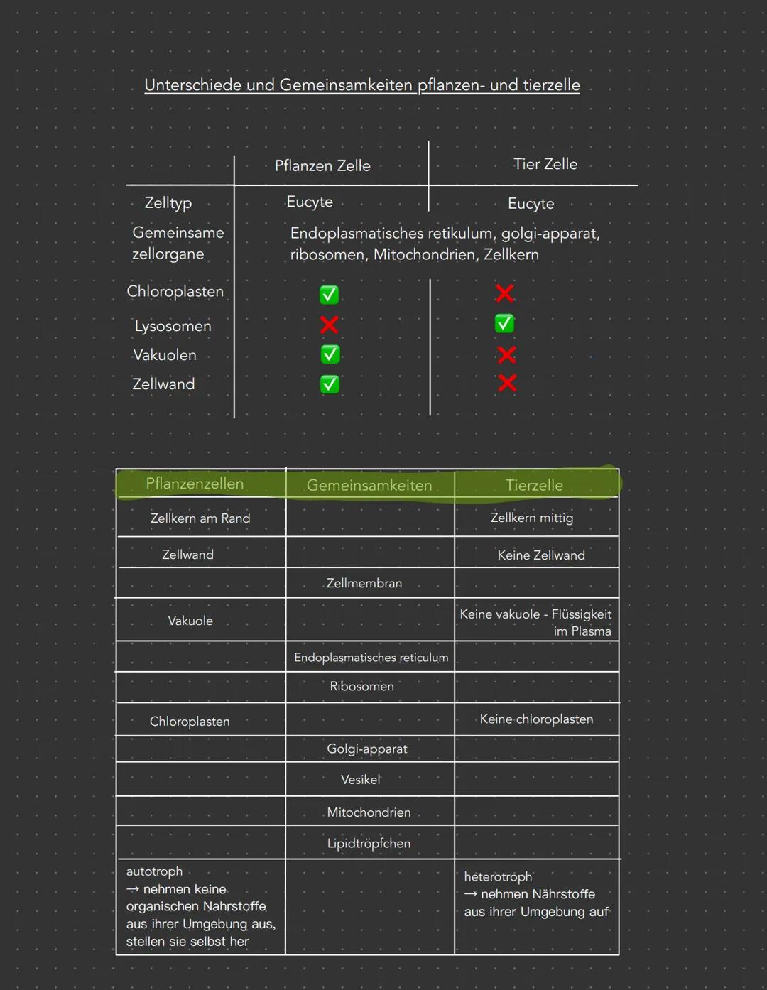 Tier-und Pflanzenzelle

Tierzelle=>

Zellmembran

Endoplasmatisches
reticulum (ER) mit
ribosomen

Cytoplasma
Zellkern mit
nucleolus

Golgi- 