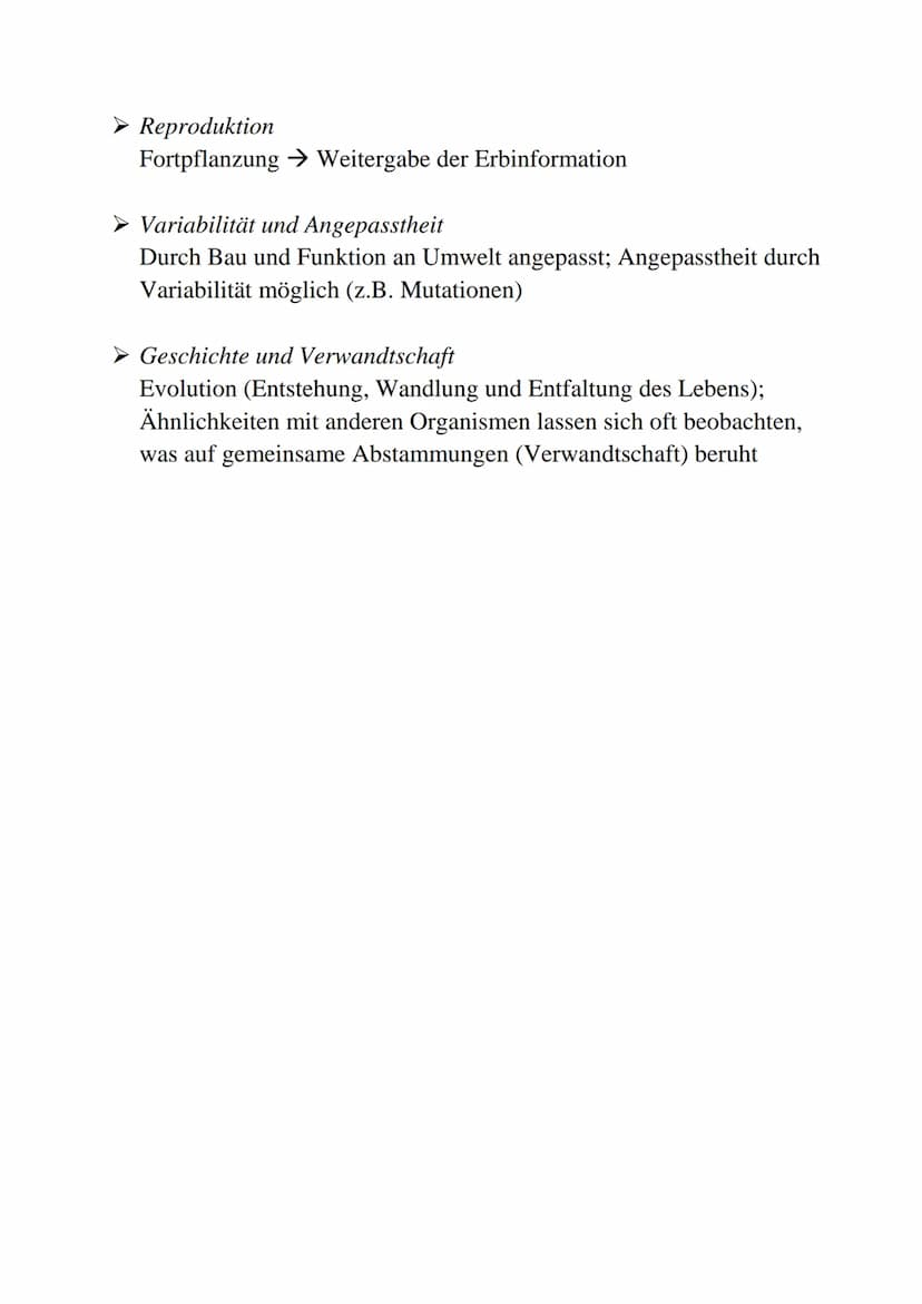 Prinzipien des Lebendigen
➜ Was macht ein Lebewesen aus?
Struktur und Funktion
Lebewesen besitzen Strukturen wie Moleküle und Zellen, welche