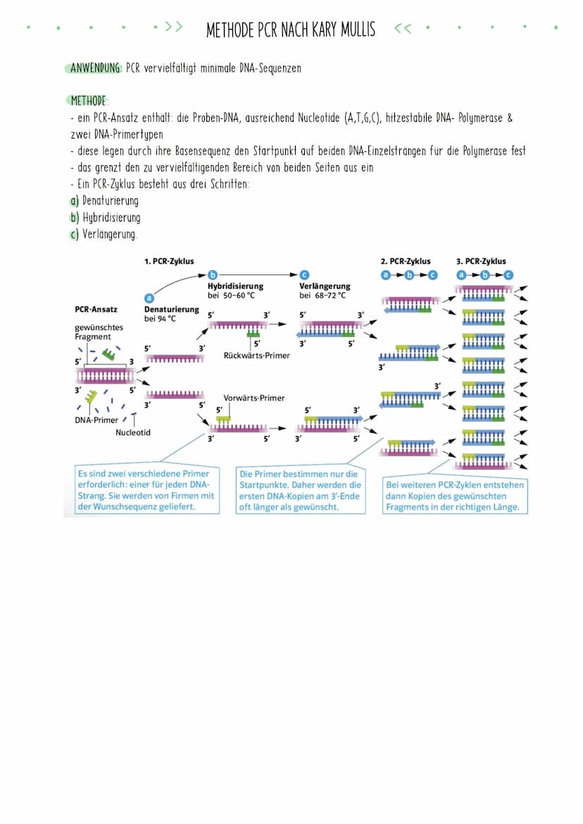 Bio Zusammenfassung Nr.4
Gentechnik DBG - Biologie Kursstufe 2
Checkliste für die letzte Bio-Klausur
PCR und Gelelektrophorese
* Materialien