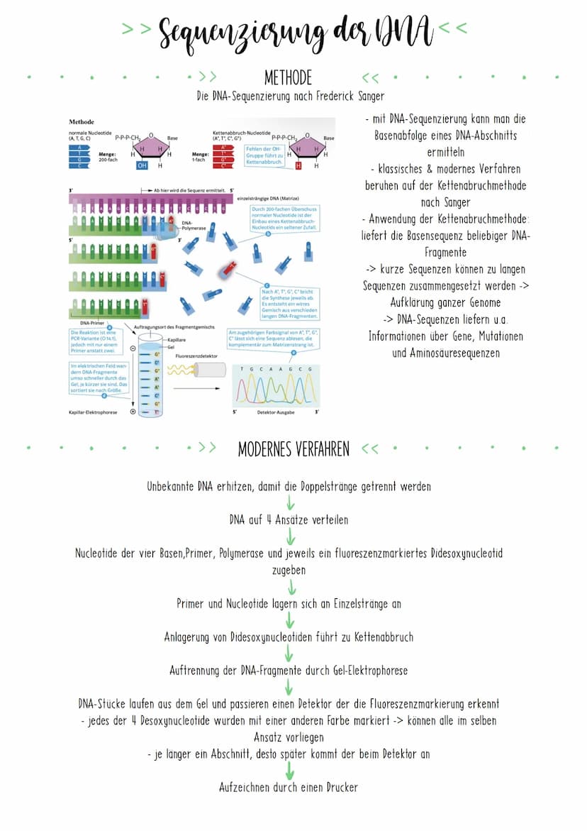 Bio Zusammenfassung Nr.4
Gentechnik DBG - Biologie Kursstufe 2
Checkliste für die letzte Bio-Klausur
PCR und Gelelektrophorese
* Materialien