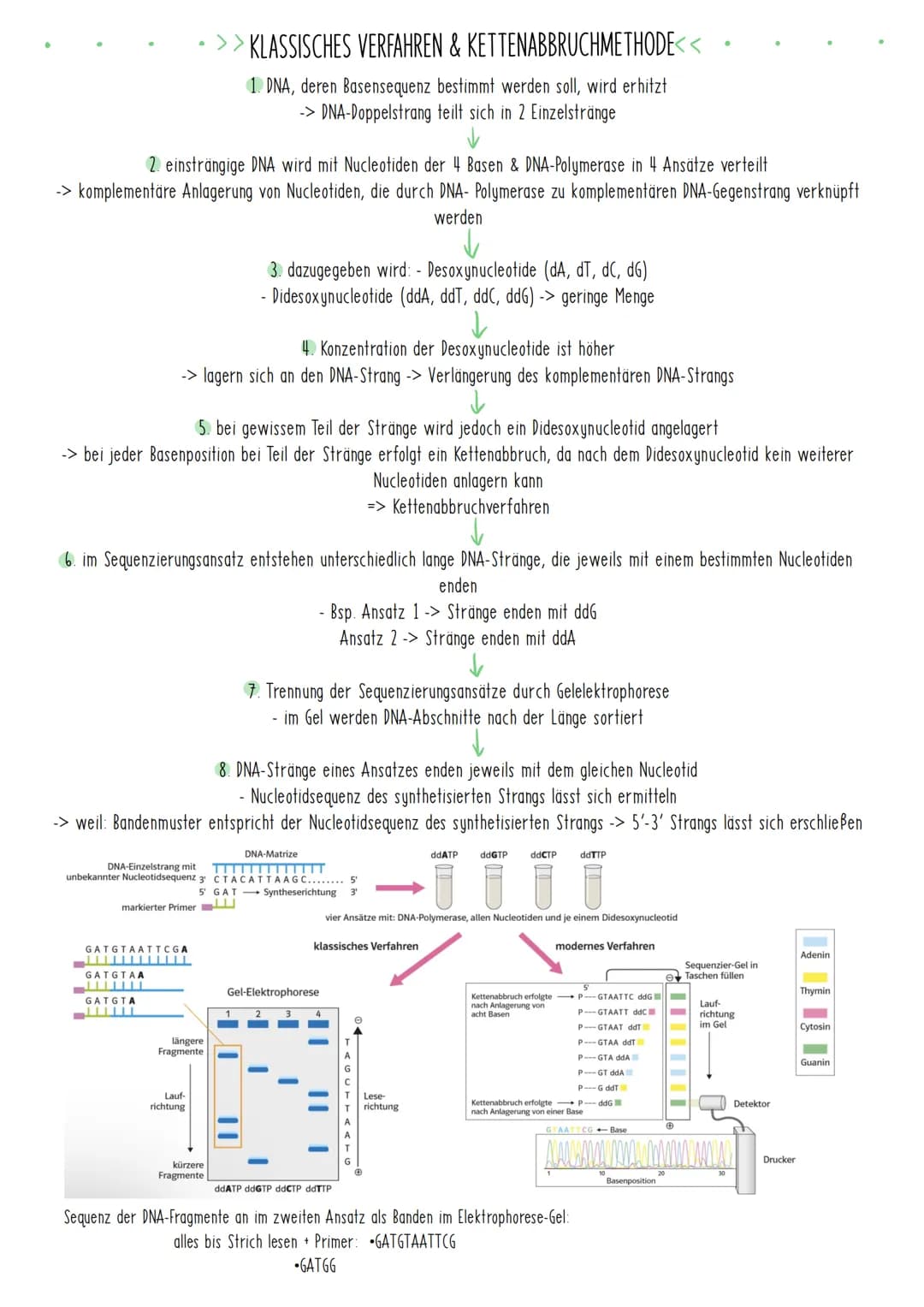 Bio Zusammenfassung Nr.4
Gentechnik DBG - Biologie Kursstufe 2
Checkliste für die letzte Bio-Klausur
PCR und Gelelektrophorese
* Materialien