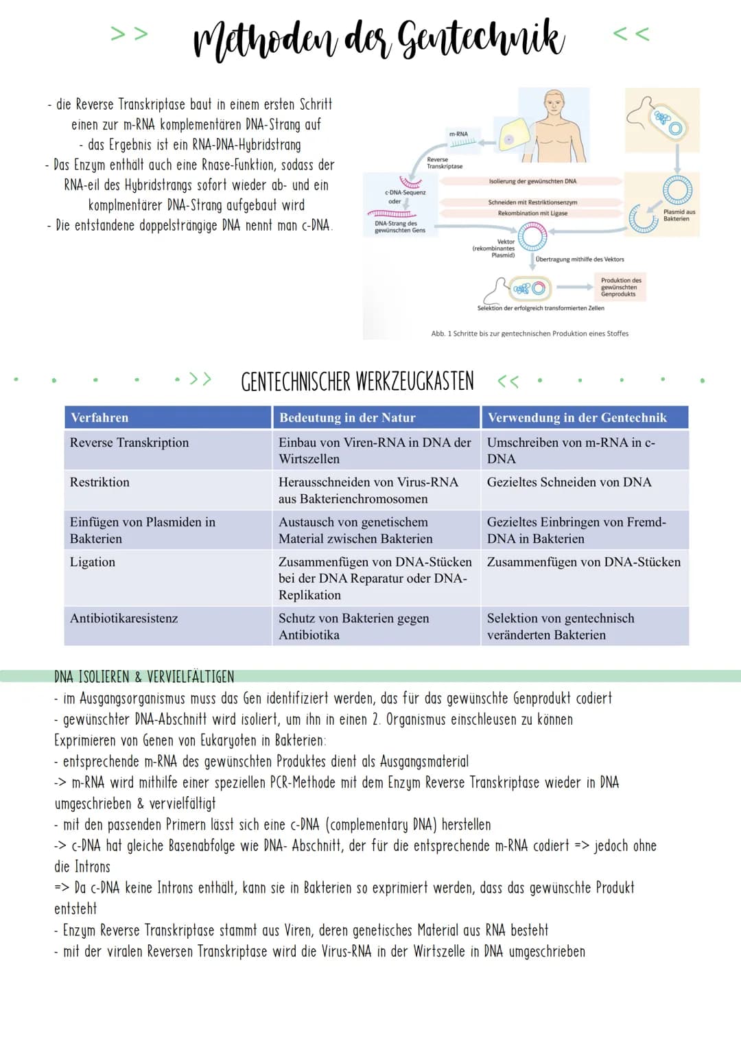 Bio Zusammenfassung Nr.4
Gentechnik DBG - Biologie Kursstufe 2
Checkliste für die letzte Bio-Klausur
PCR und Gelelektrophorese
* Materialien