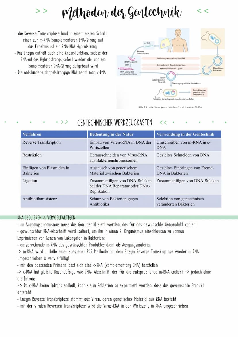 Bio Zusammenfassung Nr.4
Gentechnik DBG - Biologie Kursstufe 2
Checkliste für die letzte Bio-Klausur
PCR und Gelelektrophorese
* Materialien