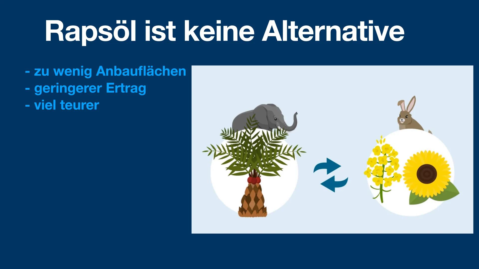 Palmöl
und die Problematik
sophie fröhlich 1geo3 Was ist Palmöl?
Anwendung von Palmöl
- Anbau von Palmöl
Vorteil von Palmöl
- Problematik vo