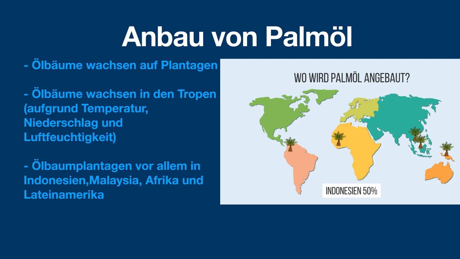 Palmöl
und die Problematik
sophie fröhlich 1geo3 Was ist Palmöl?
Anwendung von Palmöl
- Anbau von Palmöl
Vorteil von Palmöl
- Problematik vo