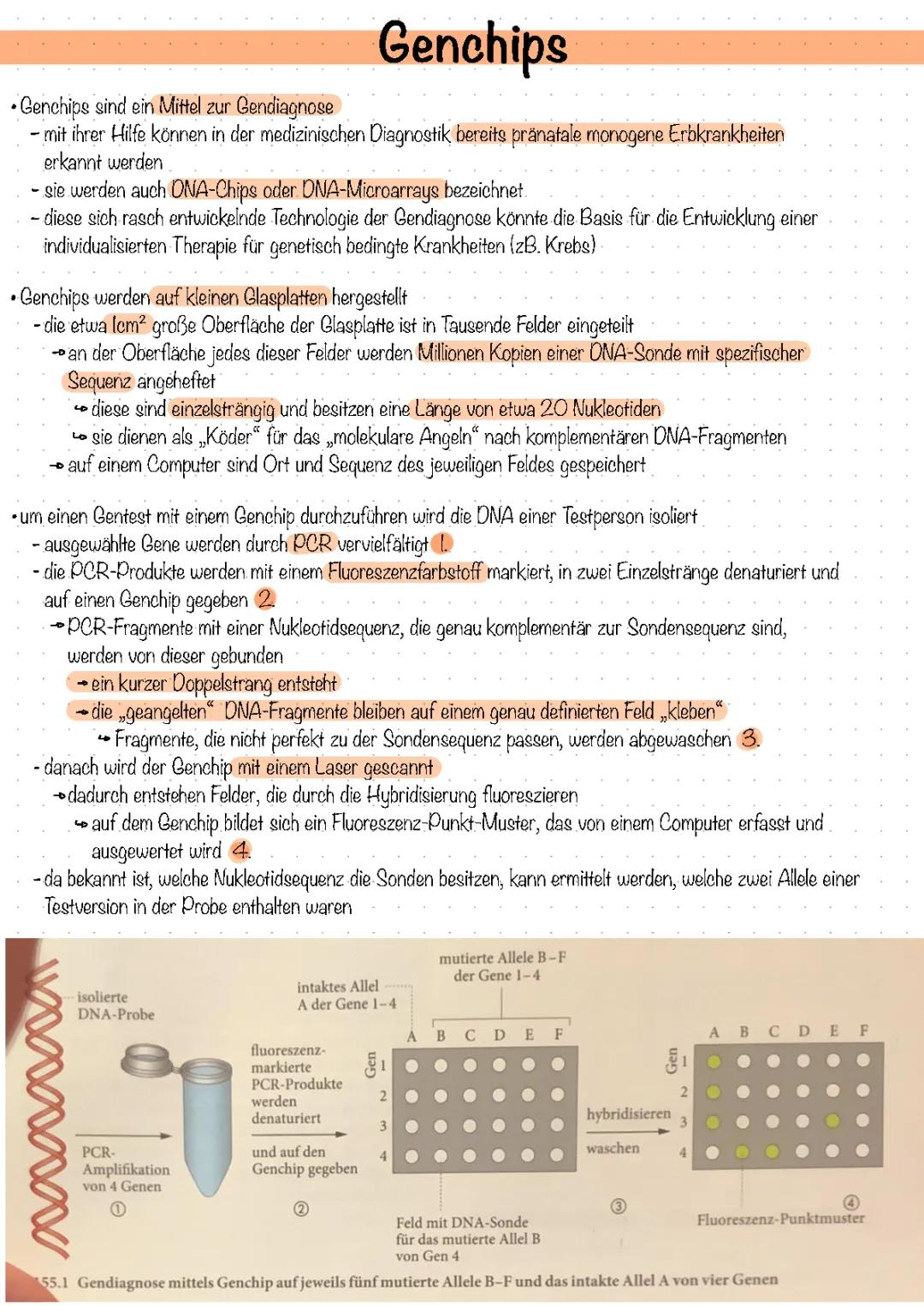 Wie funktioniert ein Genchip? - Spannende Technik für Diagnosen!