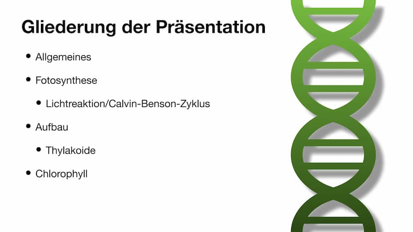 Der Chloroplast Gliederung der Präsentation
Allgemeines
• Fotosynthese
• Lichtreaktion/Calvin-Benson-Zyklus
• Aufbau
• Thylakoide
Chlorophyl