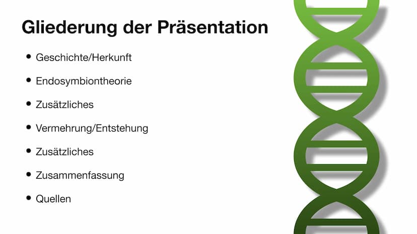 Der Chloroplast Gliederung der Präsentation
Allgemeines
• Fotosynthese
• Lichtreaktion/Calvin-Benson-Zyklus
• Aufbau
• Thylakoide
Chlorophyl