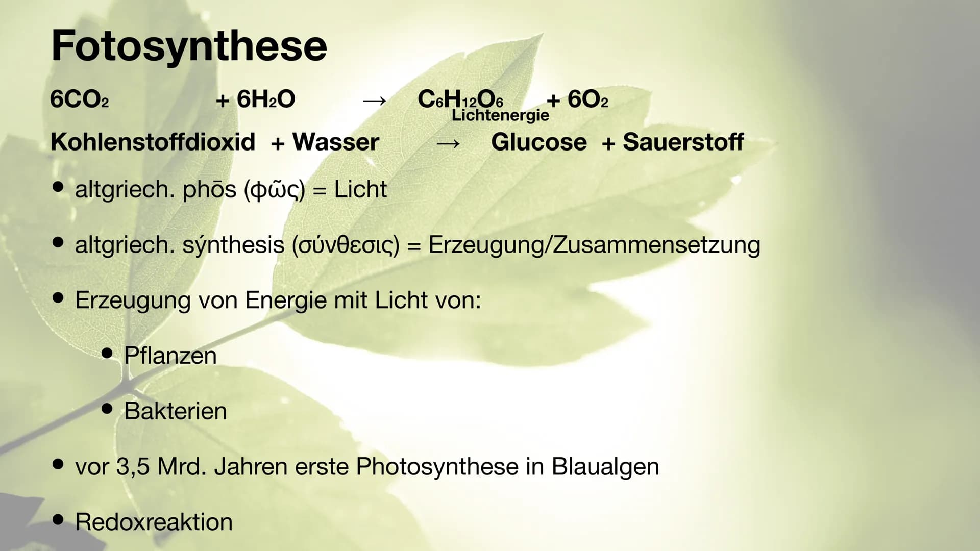 Der Chloroplast Gliederung der Präsentation
Allgemeines
• Fotosynthese
• Lichtreaktion/Calvin-Benson-Zyklus
• Aufbau
• Thylakoide
Chlorophyl