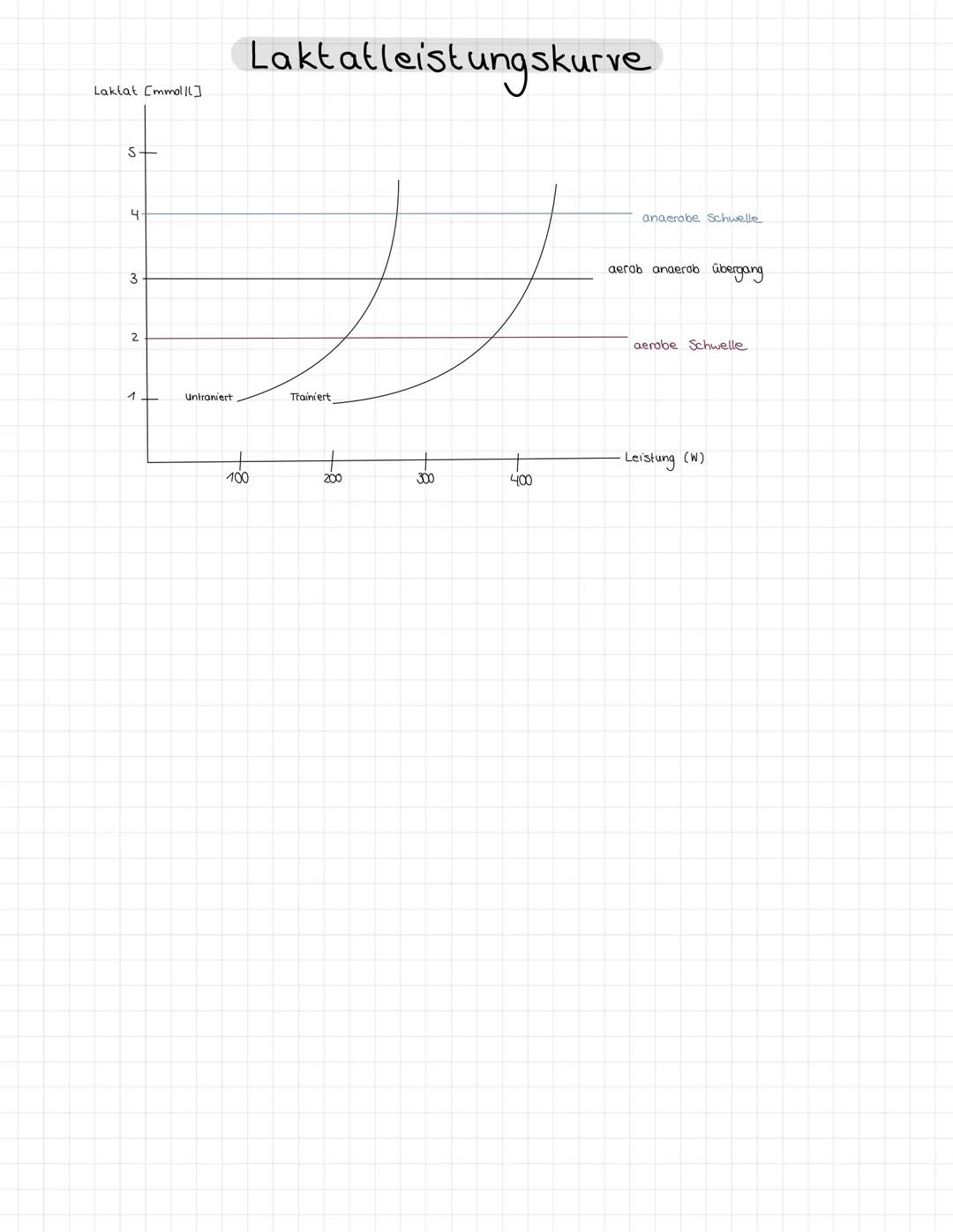 # AKTIVER
BEWEGUNGSAPPARAT
-Hausaufgabe-

Muskelaufbau:
Knochen
Muskelfaser bündel
Muskel

-Myosin
Aktin

Muskelfaser
Sehne
Blutgefäße
30.08
