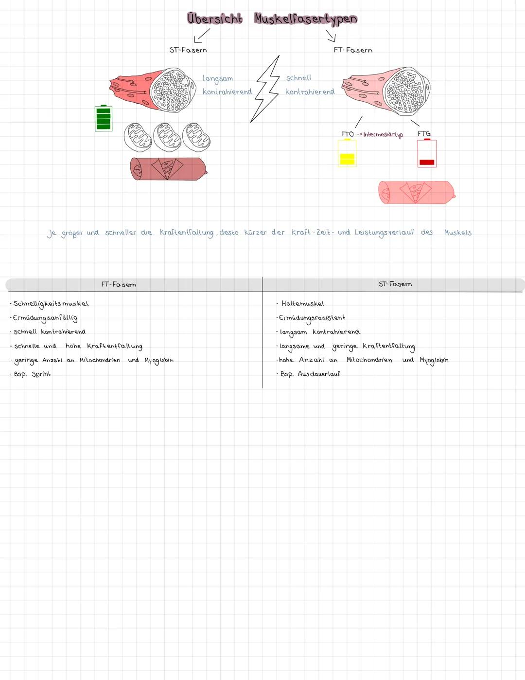 # AKTIVER
BEWEGUNGSAPPARAT
-Hausaufgabe-

Muskelaufbau:
Knochen
Muskelfaser bündel
Muskel

-Myosin
Aktin

Muskelfaser
Sehne
Blutgefäße
30.08
