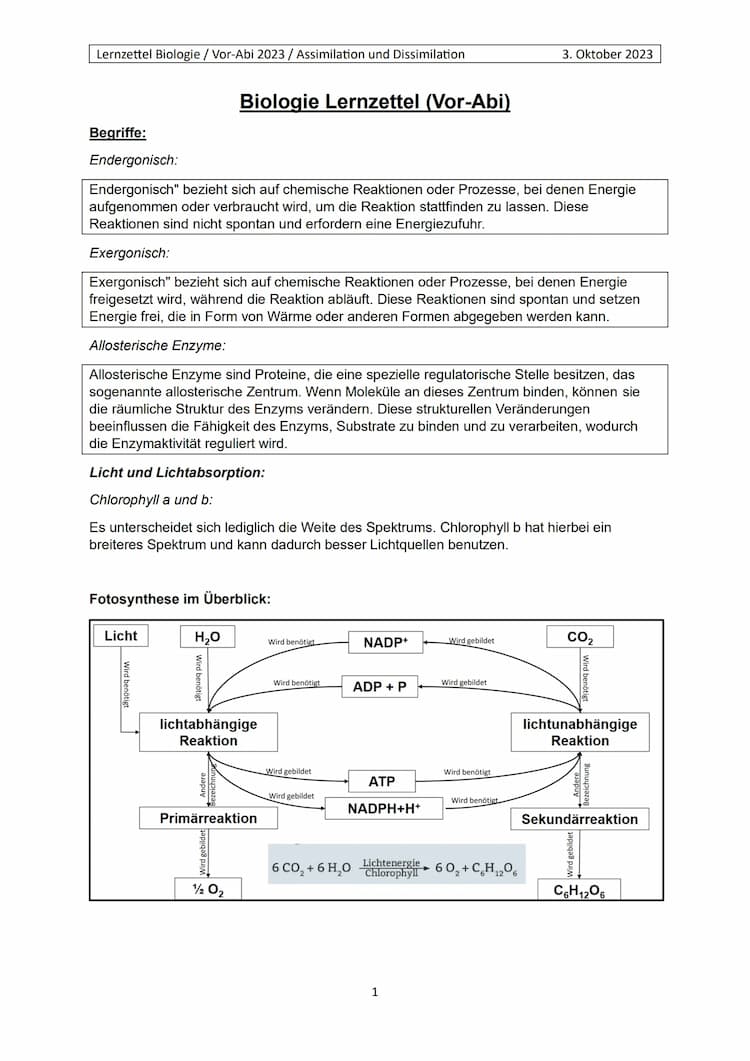 Know Biologie LK Assimilation und Dissimilation thumbnail