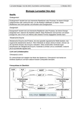 Know Biologie LK Assimilation und Dissimilation thumbnail