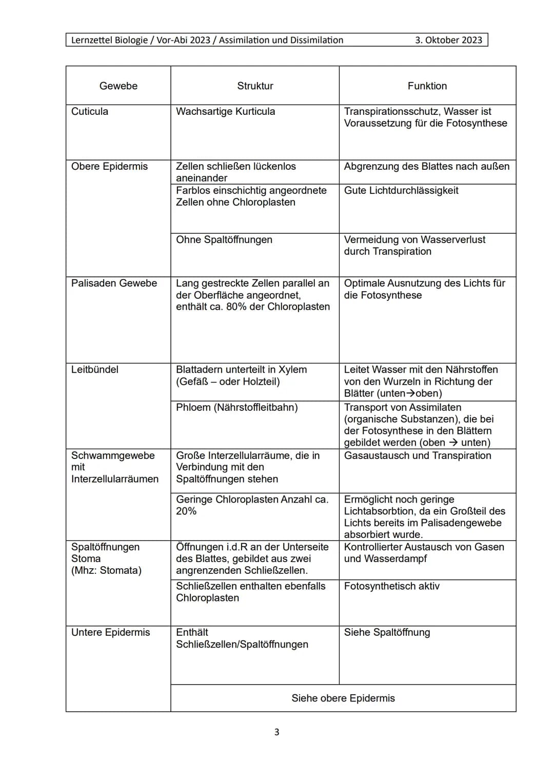 Lernzettel Biologie / Vor-Abi 2023 / Assimilation und Dissimilation
Begriffe:
Endergonisch:
Endergonisch" bezieht sich auf chemische Reaktio