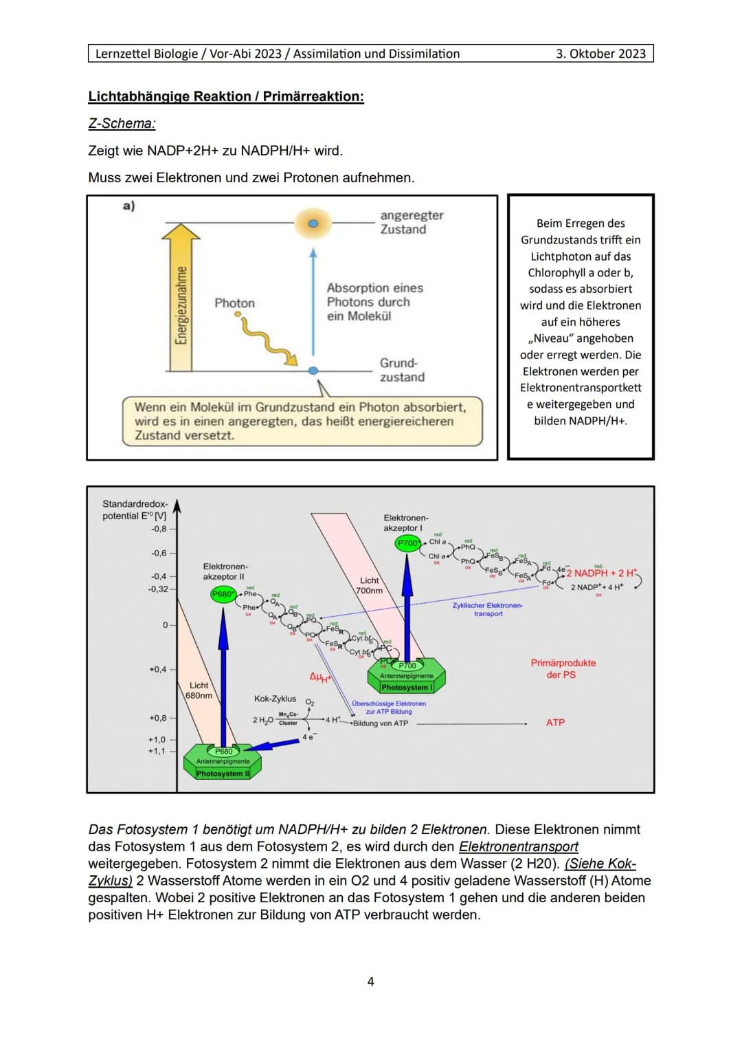 Lernzettel Biologie / Vor-Abi 2023 / Assimilation und Dissimilation
Begriffe:
Endergonisch:
Endergonisch" bezieht sich auf chemische Reaktio