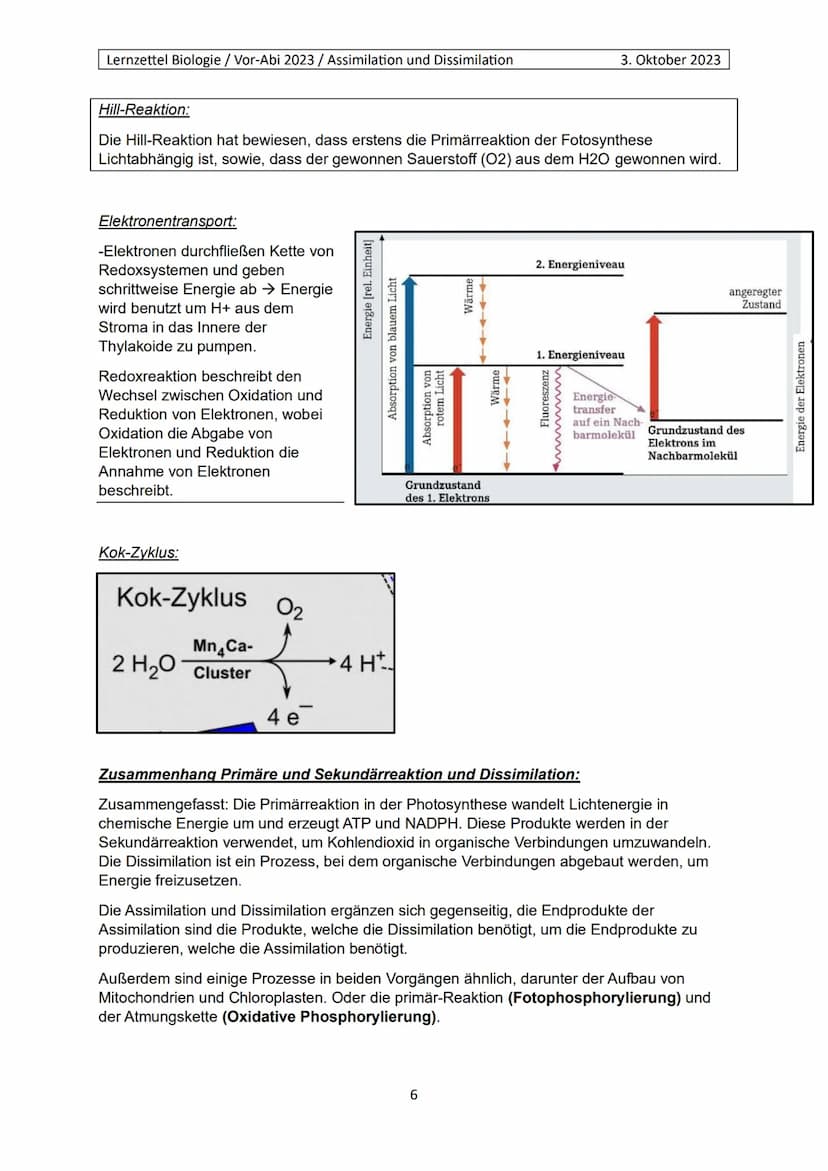 Lernzettel Biologie / Vor-Abi 2023 / Assimilation und Dissimilation
Begriffe:
Endergonisch:
Endergonisch" bezieht sich auf chemische Reaktio