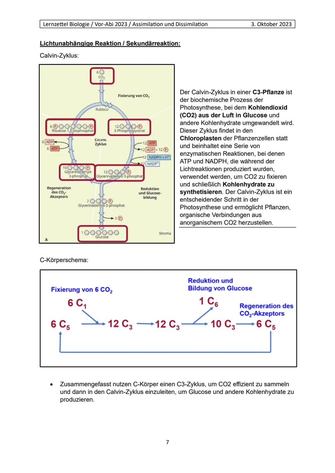 Lernzettel Biologie / Vor-Abi 2023 / Assimilation und Dissimilation
Begriffe:
Endergonisch:
Endergonisch" bezieht sich auf chemische Reaktio