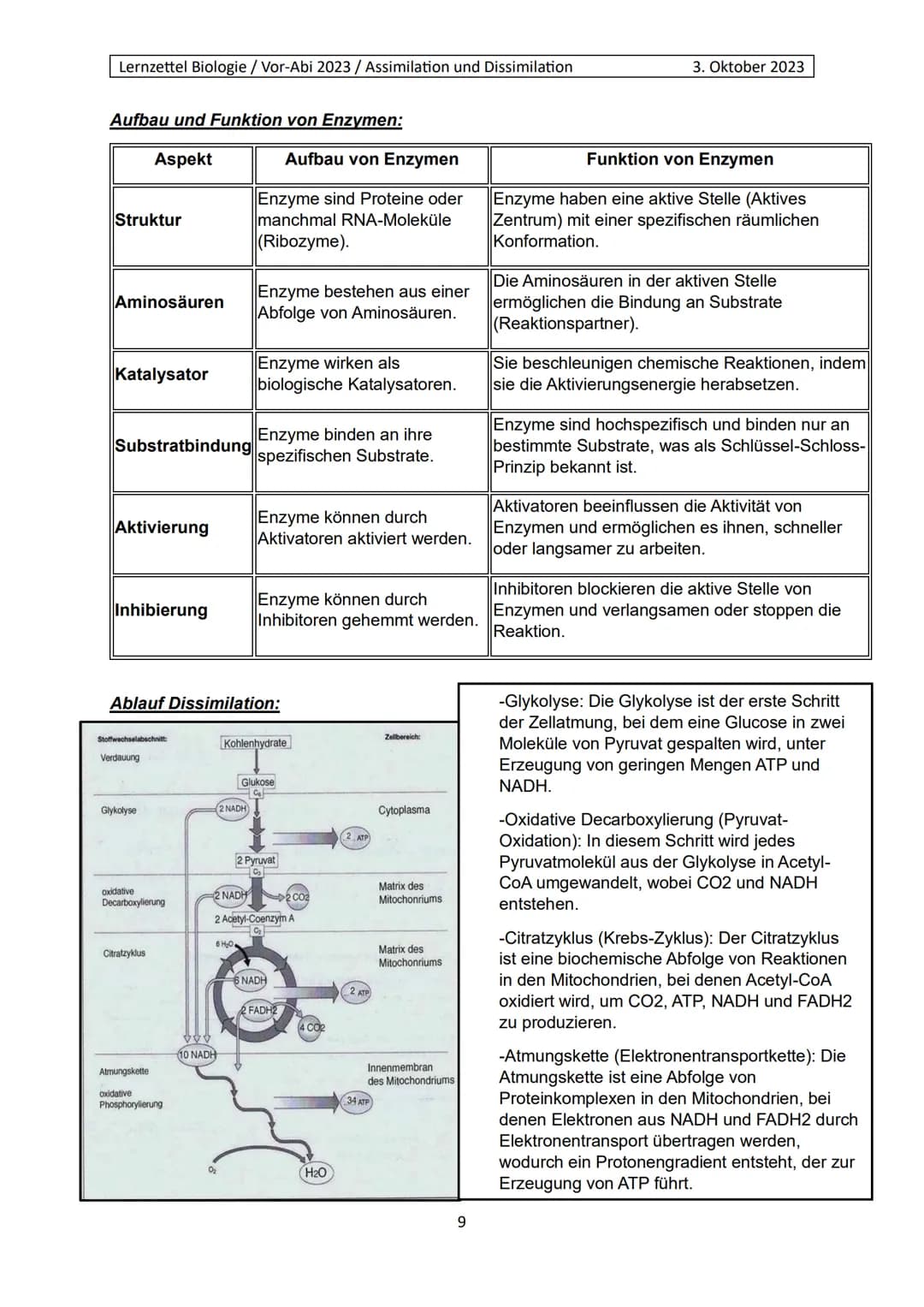 Lernzettel Biologie / Vor-Abi 2023 / Assimilation und Dissimilation
Begriffe:
Endergonisch:
Endergonisch" bezieht sich auf chemische Reaktio