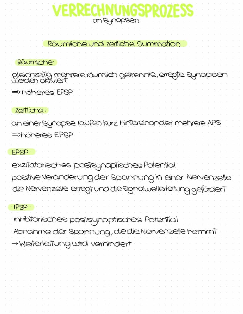 Neurobiologie
Abitur
Zusammenfassung Inhaltsübersicht
Themenfeld Neurobiologie
● Aufbau und Funktion von Nervenzellen
Aufbau der Biomembran 