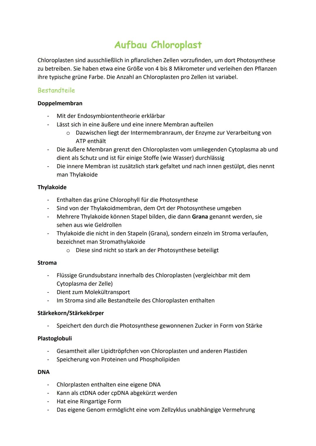 Aufbau Chloroplast
Chloroplasten sind ausschließlich in pflanzlichen Zellen vorzufinden, um dort Photosynthese
zu betreiben. Sie haben etwa 