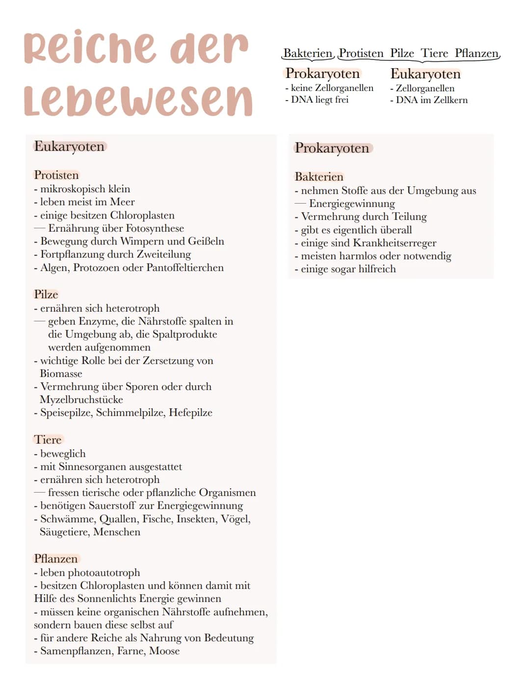 Reiche der
Lebewesen
Eukaryoten
Protisten
- mikroskopisch klein
- leben meist im Meer
- einige besitzen Chloroplasten
Ernährung über Fotosyn