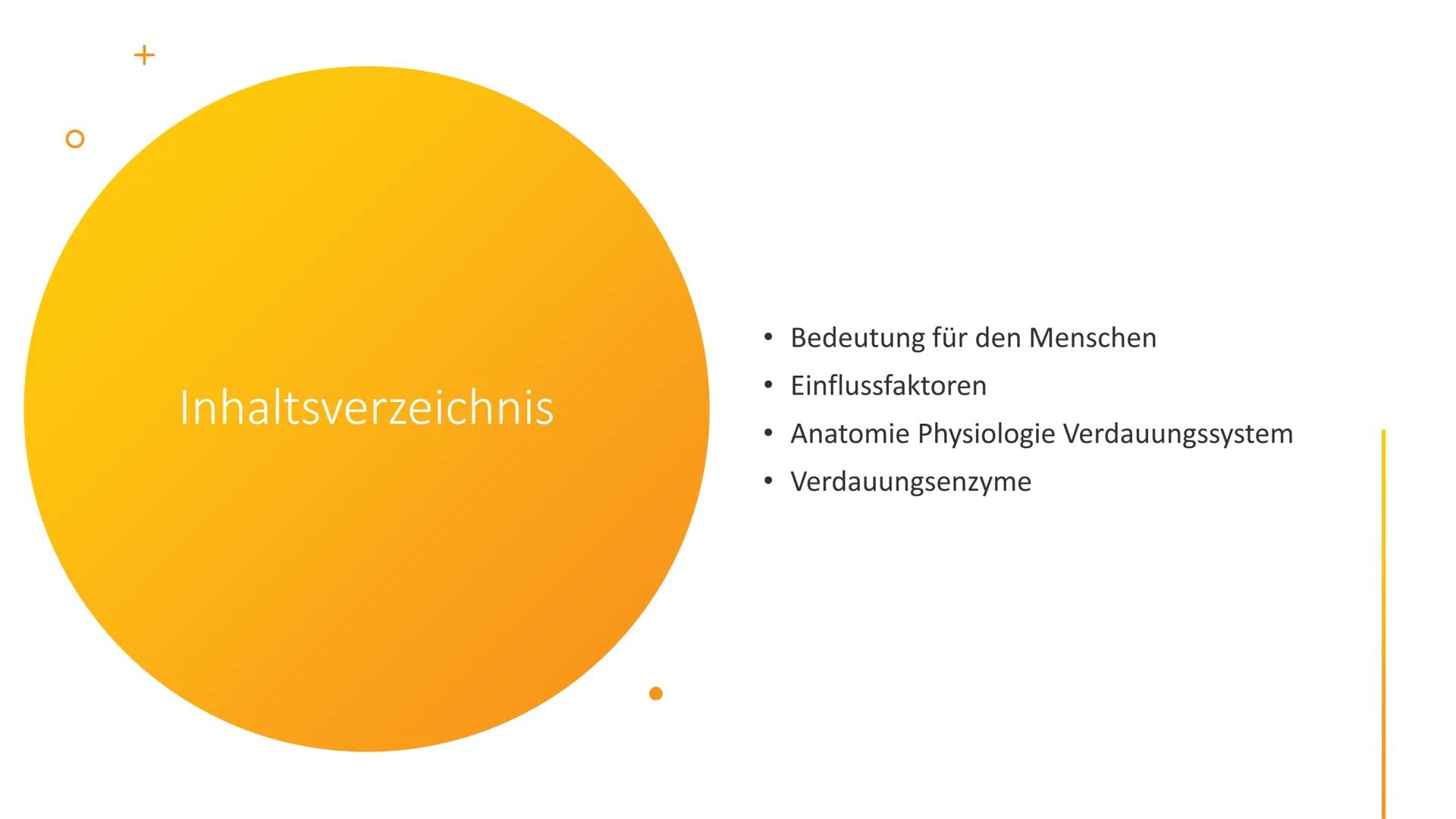 Klientinnen und
Klienten bei der
Ernährung
unterstützen
Handlungskompetenz B.5
Lia Seraina Bäni
Mund
Gaumen
Uvula
Zunge
Zähne
Speicheldrüsen