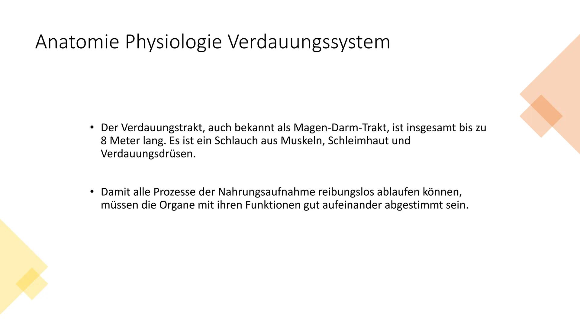 Klientinnen und
Klienten bei der
Ernährung
unterstützen
Handlungskompetenz B.5
Lia Seraina Bäni
Mund
Gaumen
Uvula
Zunge
Zähne
Speicheldrüsen