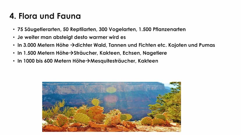 Grand Canyon
TEKET
Erdkunde GFS Marie-Sophie Pfeffer Gliederung
1. Allgemeine Informationen
- Lage
Fakten
2. Entstehung
- Verschiedene Geste