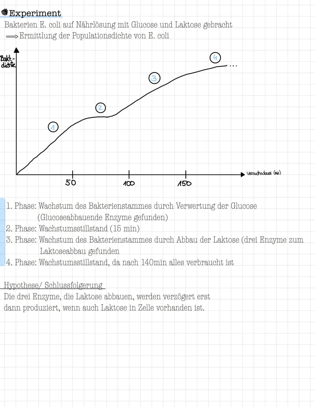 Steuerung/ Regulation der Genaktivität
Genregulation
=
Problemstellung
Bei Untersuchungen verschiedener Zelltypen eines Organismus und unter