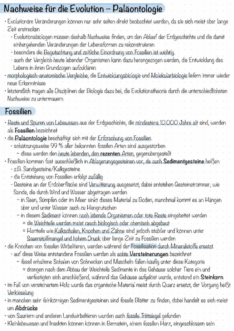 Know Evolution - Nachweise aus der Plaeontologie thumbnail