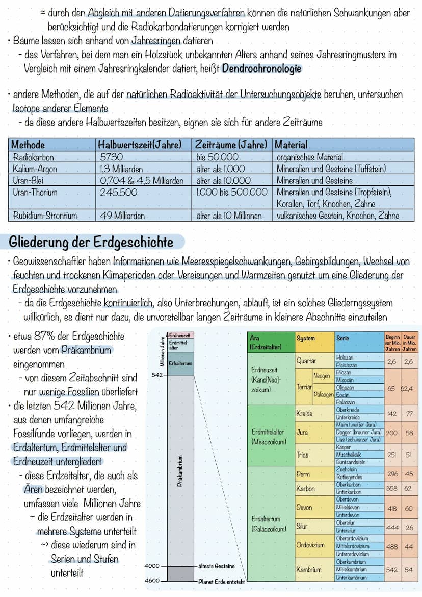 Nachweise für die Evolution - Paläontologie
Evolutionäre Veränderungen können nur sehr selten direkt beobachtet werden, da sie sich meist üb