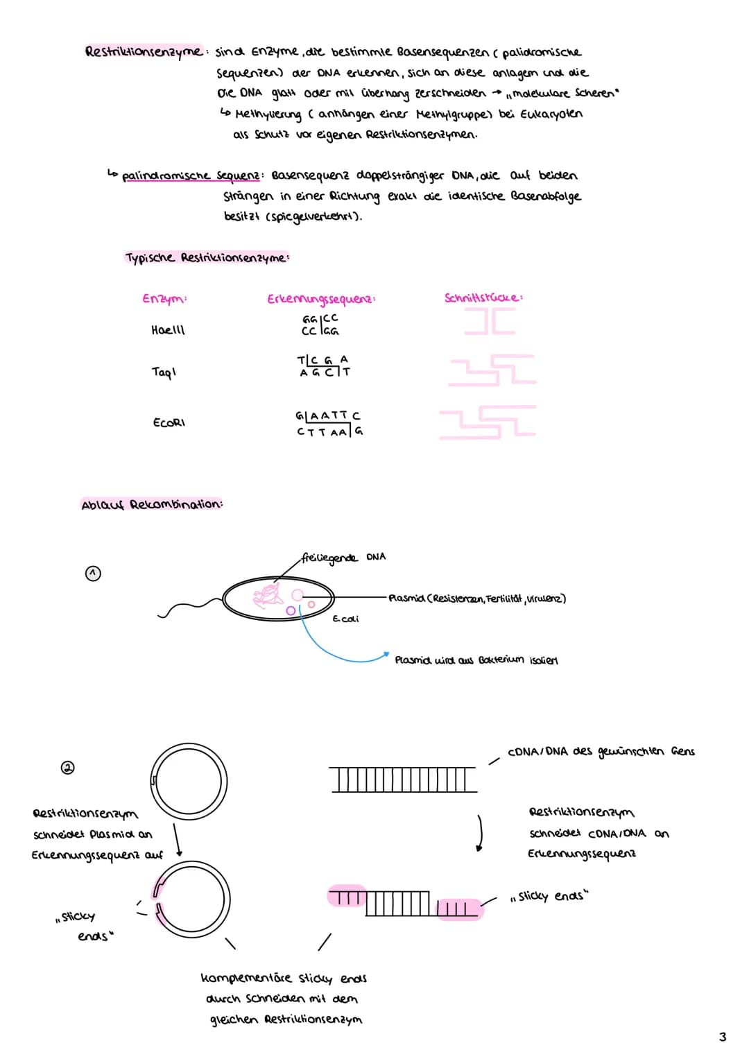 Angewandte Genetik
3. Gentechnische Verfahren
Definition: Unter dem Begriff "Gentechnik" fasst mon verfahren zusammen,
durch die fremde Gene