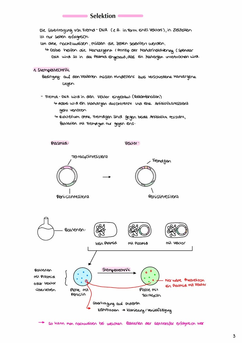 Angewandte Genetik
3. Gentechnische Verfahren
Definition: Unter dem Begriff "Gentechnik" fasst mon verfahren zusammen,
durch die fremde Gene