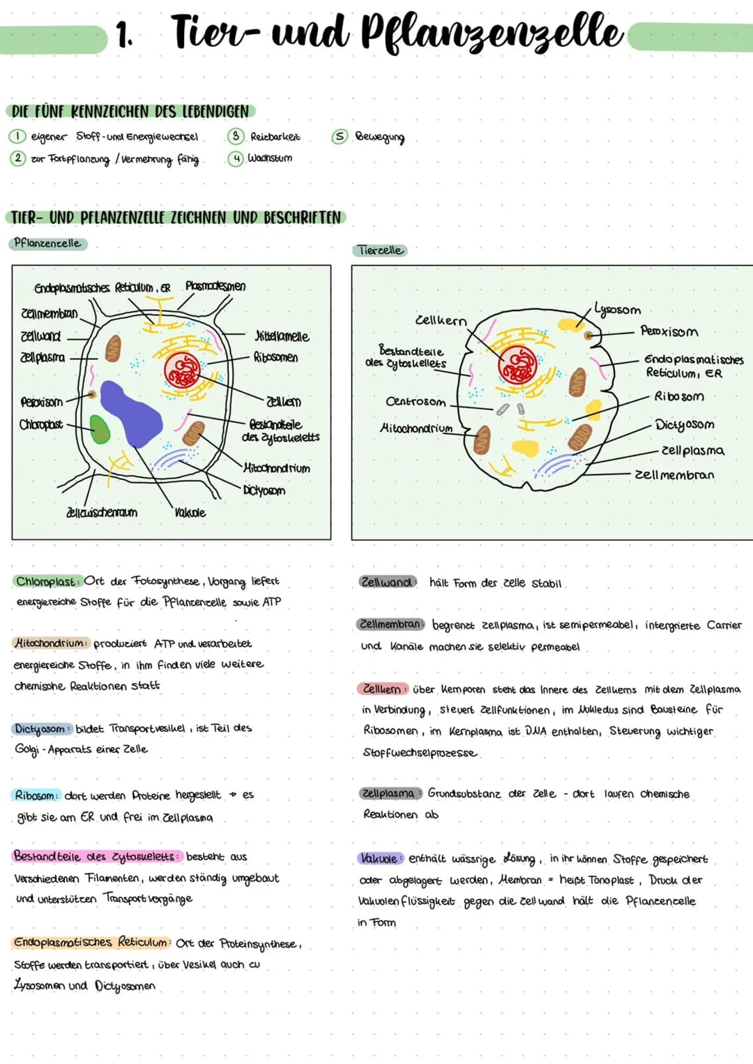 8.8
Biologic
** DIE FÜNF KENNZEICHEN DES LEBENDIGEN
1 eigener Stoff- und Energiewechsel
2 zur Fortpflanzung / Vermehrung fähig
1. Tier- und 