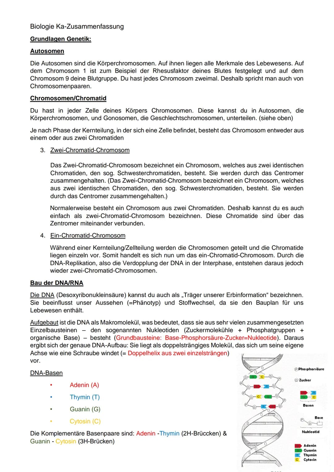 Biologie Ka-Zusammenfassung
Grundlagen Genetik:
Karyogramm:
Definition: Geordneter Chromosomensatz- Karyogramm bezeichnet man die nach besti