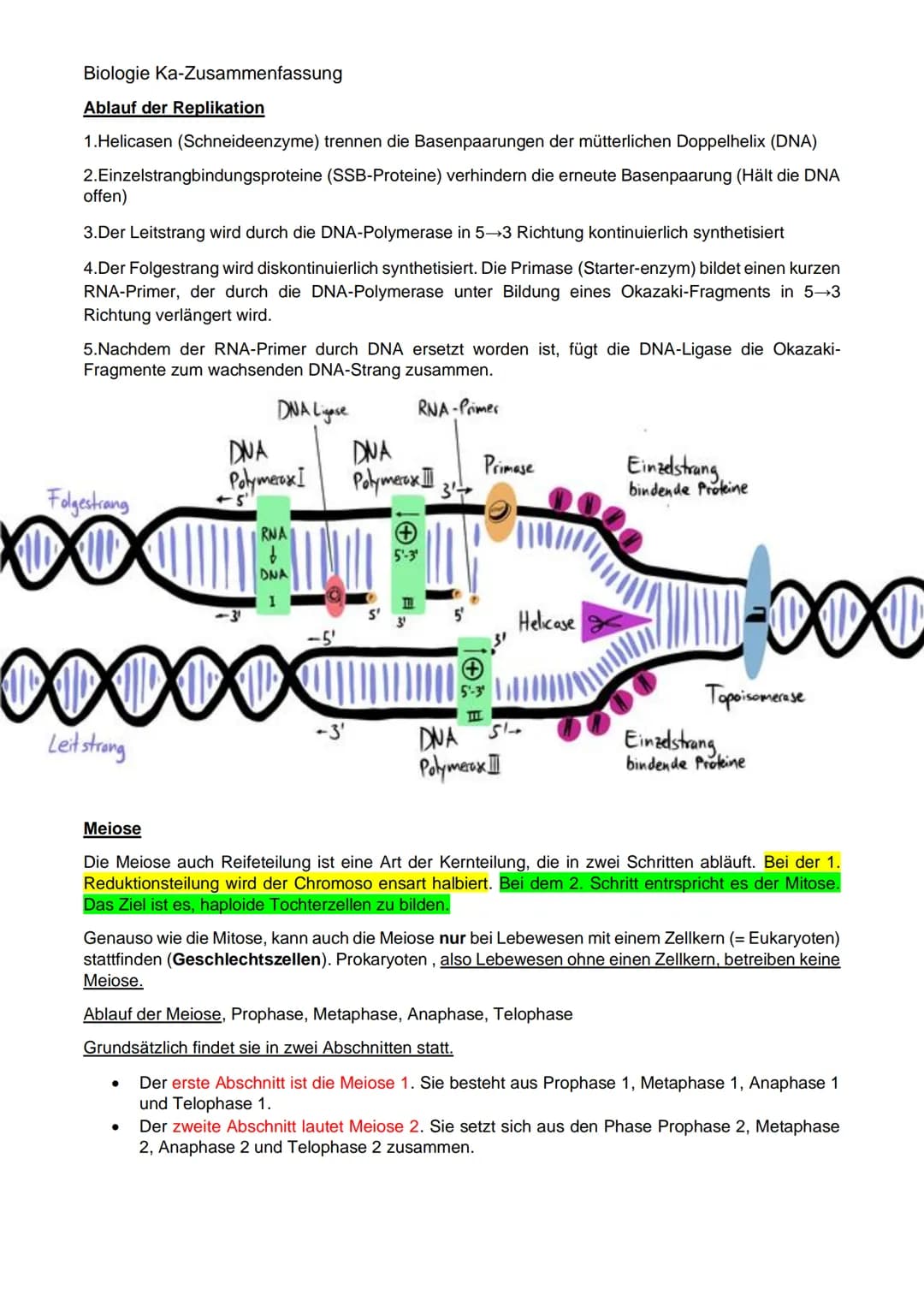 Biologie Ka-Zusammenfassung
Grundlagen Genetik:
Karyogramm:
Definition: Geordneter Chromosomensatz- Karyogramm bezeichnet man die nach besti