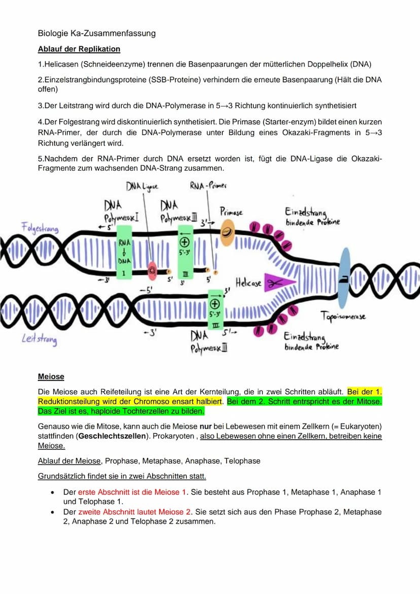 Biologie Ka-Zusammenfassung
Grundlagen Genetik:
Karyogramm:
Definition: Geordneter Chromosomensatz- Karyogramm bezeichnet man die nach besti