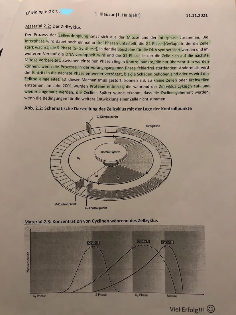 EF Biologie GK 3 -
Material 2.2: Der Zellzyklus
Der Prozess der Zellverdopplung setzt sich aus der Mitose und der Interphase zusammen. Die
I