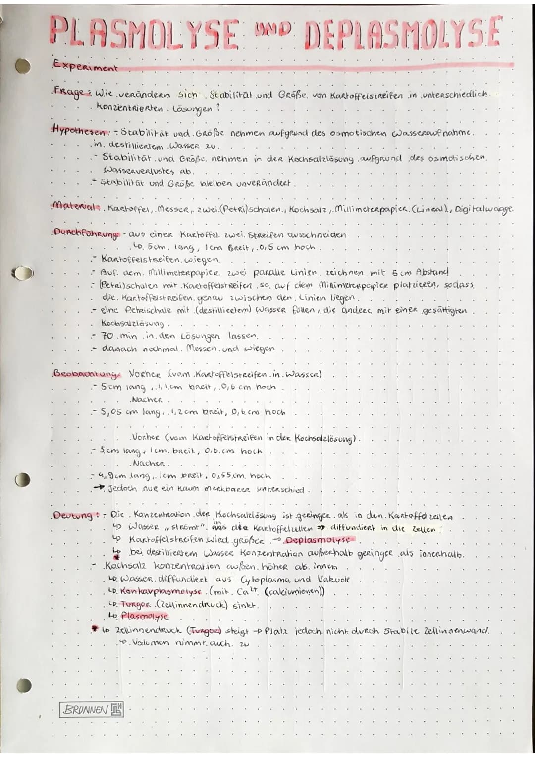 
<h2 id="experimentplasmolyseunddeplasmolysebeizwiebeln">Experiment: Plasmolyse und Deplasmolyse bei Zwiebeln</h2>
<p>Die Fragestellung des 