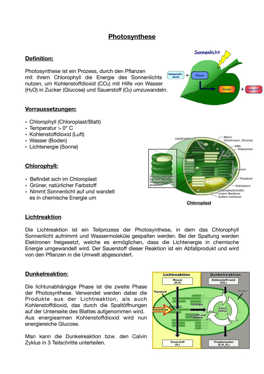 Definition:
Photosynthese ist ein Prozess, durch den Pflanzen
mit ihrem Chlorophyll die Energie des Sonnenlichts
nutzen, um Kohlenstoffdioxi
