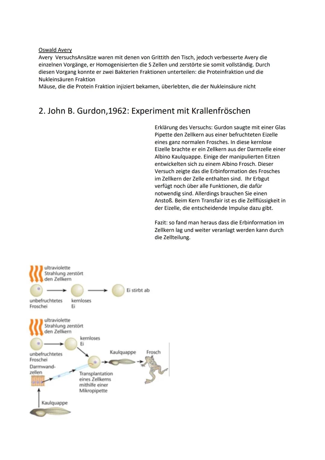 4. Genetik und Gentechnik
4.1 DNA als Speicher genetischer Information
4.1.1 Historische Experimente
1. Frederick Griffith, 1928: Experiment