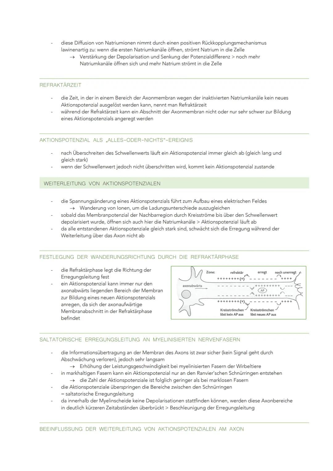 INFORMATIONSVERARBEITUNG IM NERVENSYSTEM
BAU UND FUNKTION EINER NERVENZELLE
Sinneszellen können aus der Umgebung auftreffende Reize in elekt