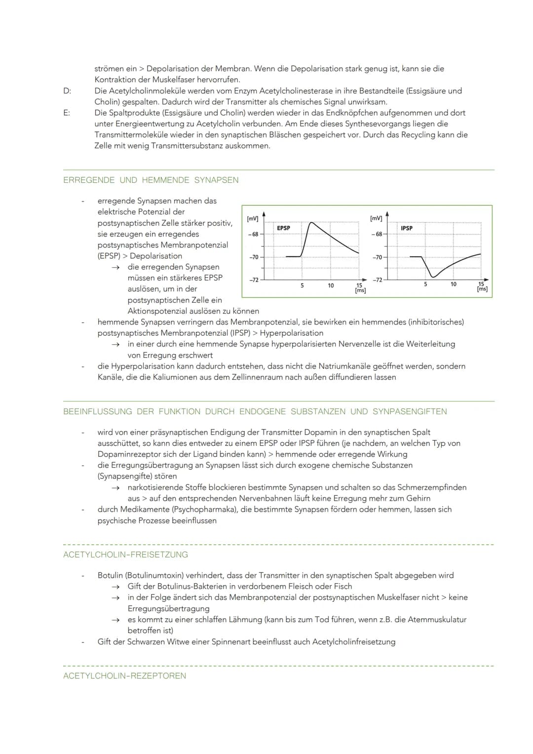 INFORMATIONSVERARBEITUNG IM NERVENSYSTEM
BAU UND FUNKTION EINER NERVENZELLE
Sinneszellen können aus der Umgebung auftreffende Reize in elekt